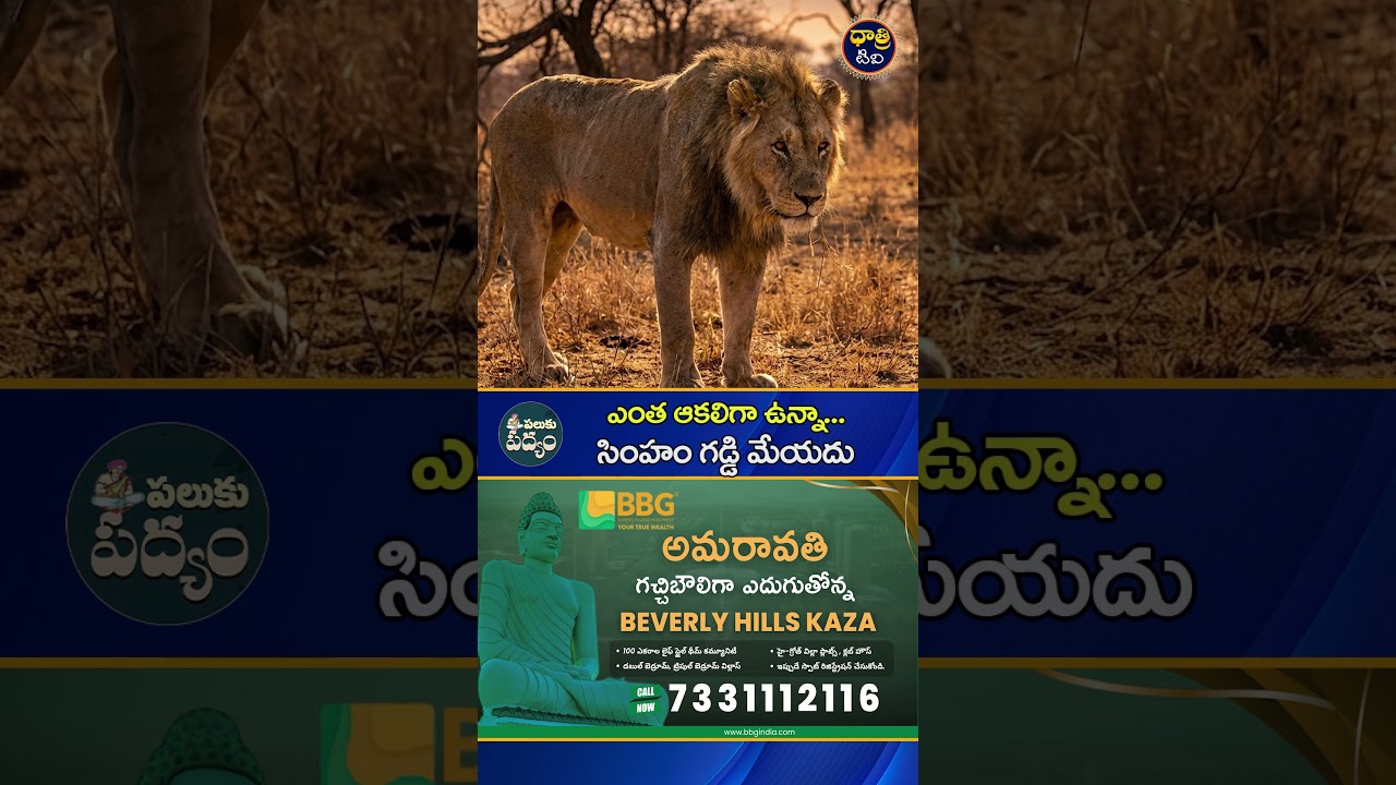 Paluku Poem 53: No matter how hungry a lion is, he will not eat grass || #palukupadyalu #telugu #dhatritv