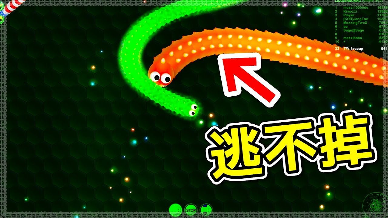 【貪吃蛇】自殺式玩法! 看到敵人就貼上去!! ▶ Wormax.io