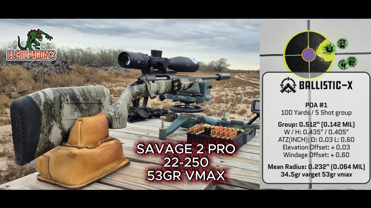 SAVAGE AXIS 2 PRO 22-250 WITH HORNADY 53GR VMAX RELOADS