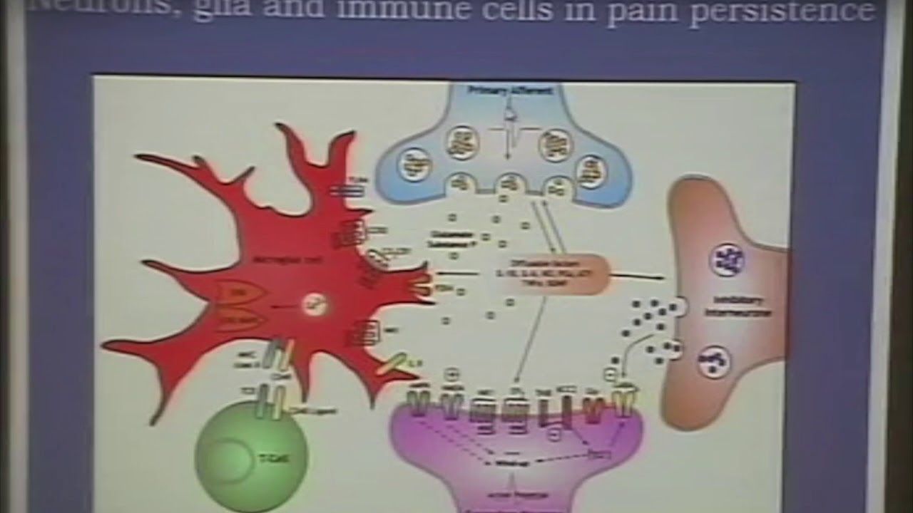 Benzodiazepine e dolore - Prof. L.A. Pini