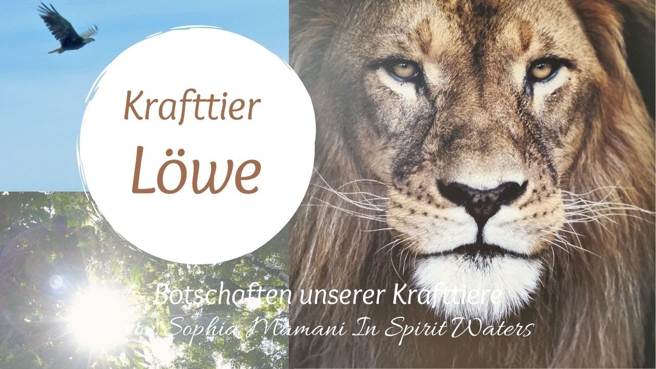 Krafttier Löwe 🌎 Botschaften unserer Krafttiere von Sophia Mamani In Spirit Waters