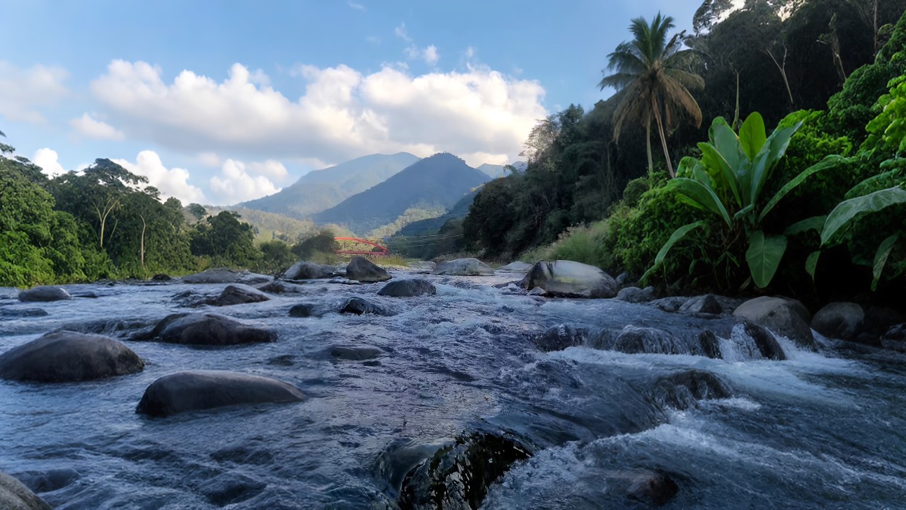 Relaxing River Sounds with Birdsong • Peaceful Nature for Stress Relief