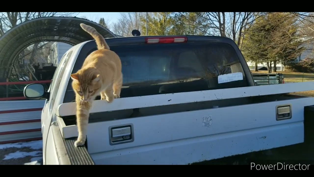 Harbor freight 2000 lbs. truck bed unloader modifications