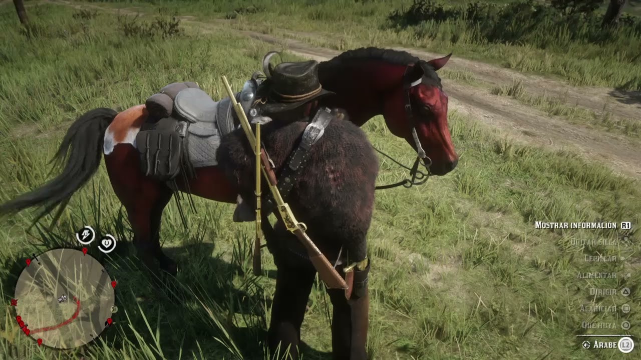 Red Dead Redemption 2 Arcadia