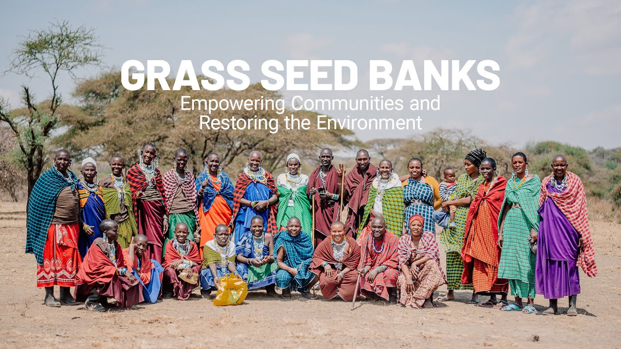 Grass Seed Banks: Empowering Communities and Restoring the Environment