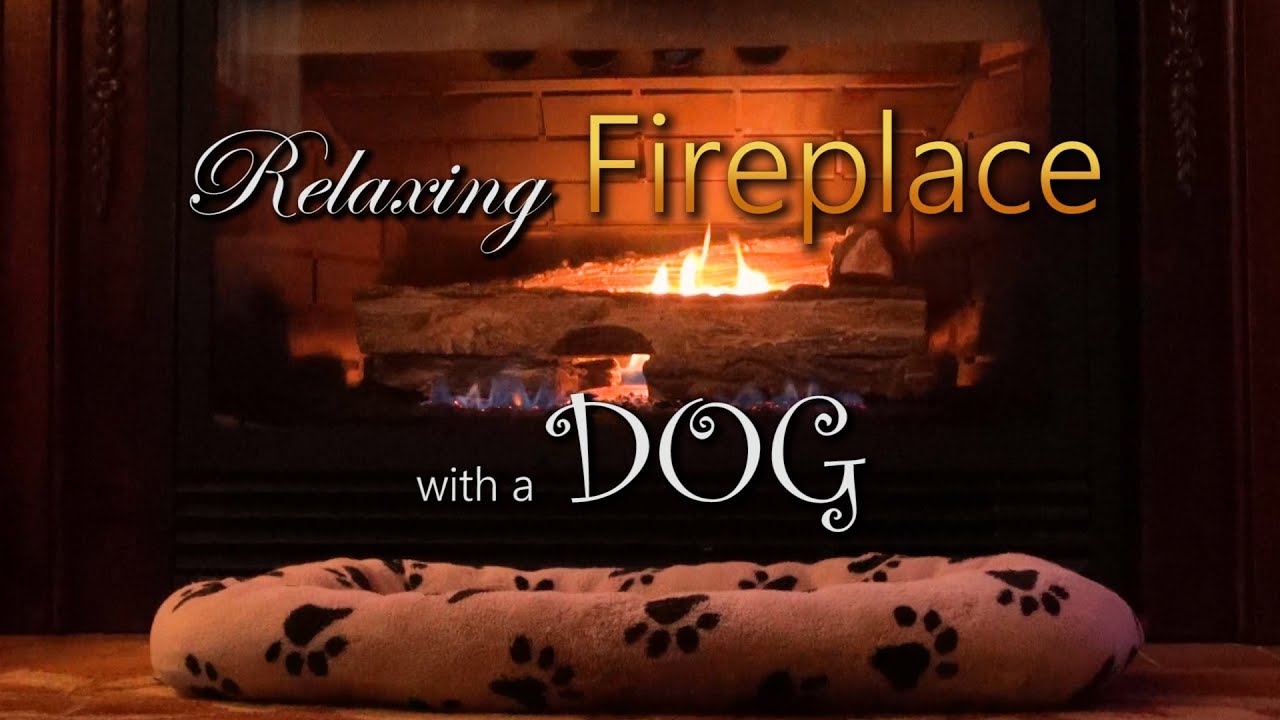 Fireplace Channel with A Dog