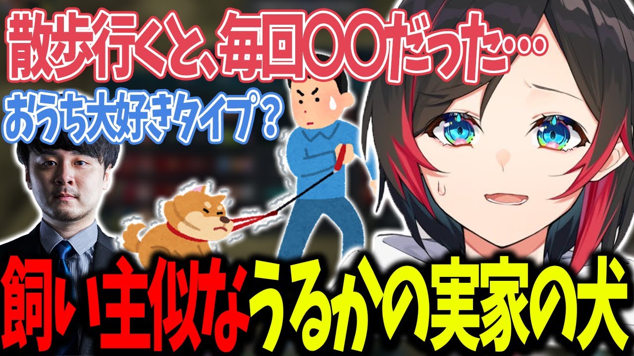 【LoL/The k4sen】スクリム中に犬の散歩ガンクが来る葛葉と飼い主似なうるかの実家の犬【うるか切り抜き/うるか/k4sen/たぬき忍者/しゃるる/なぎさっち/Evi/ゆとりもやし】