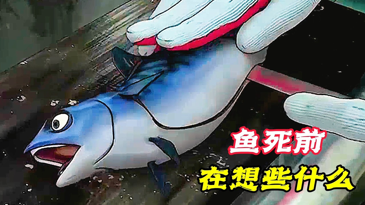 魚臨死前竟有話要說，其他魚都驚呆了，真的太神奇！奇幻動畫電影《啪啪啪聲》。電影，短片，成精，解說，搞笑，動畫，動作，喜劇，獵奇，奇幻，腦洞，科幻，超能力，short film