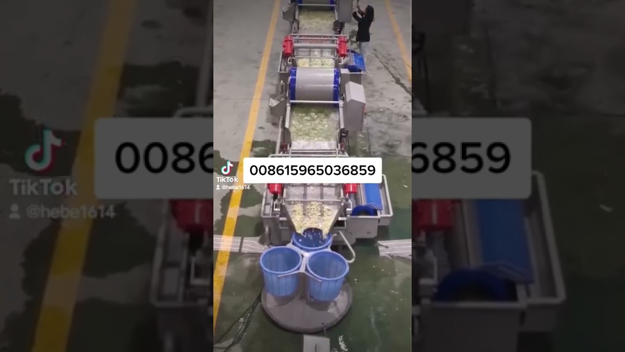 vegetable washing  machine, vegetable fruit processing line, vegetable making machine