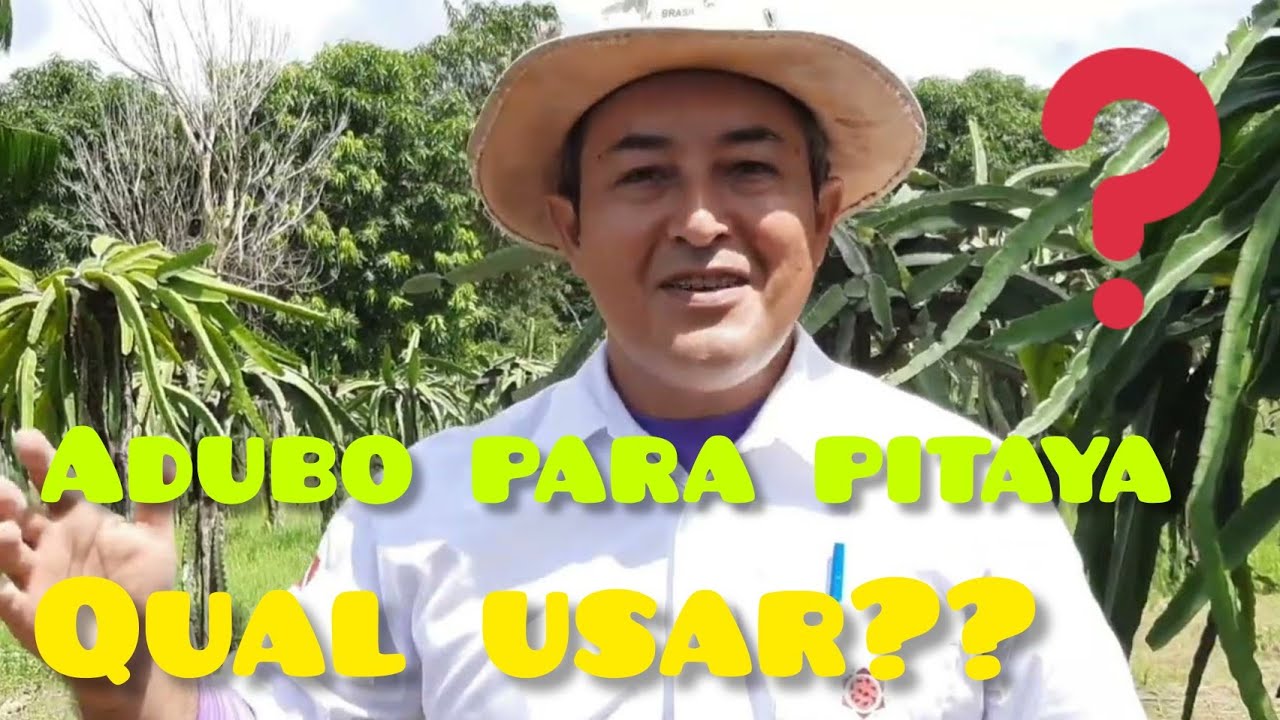 Adubo para pitaya