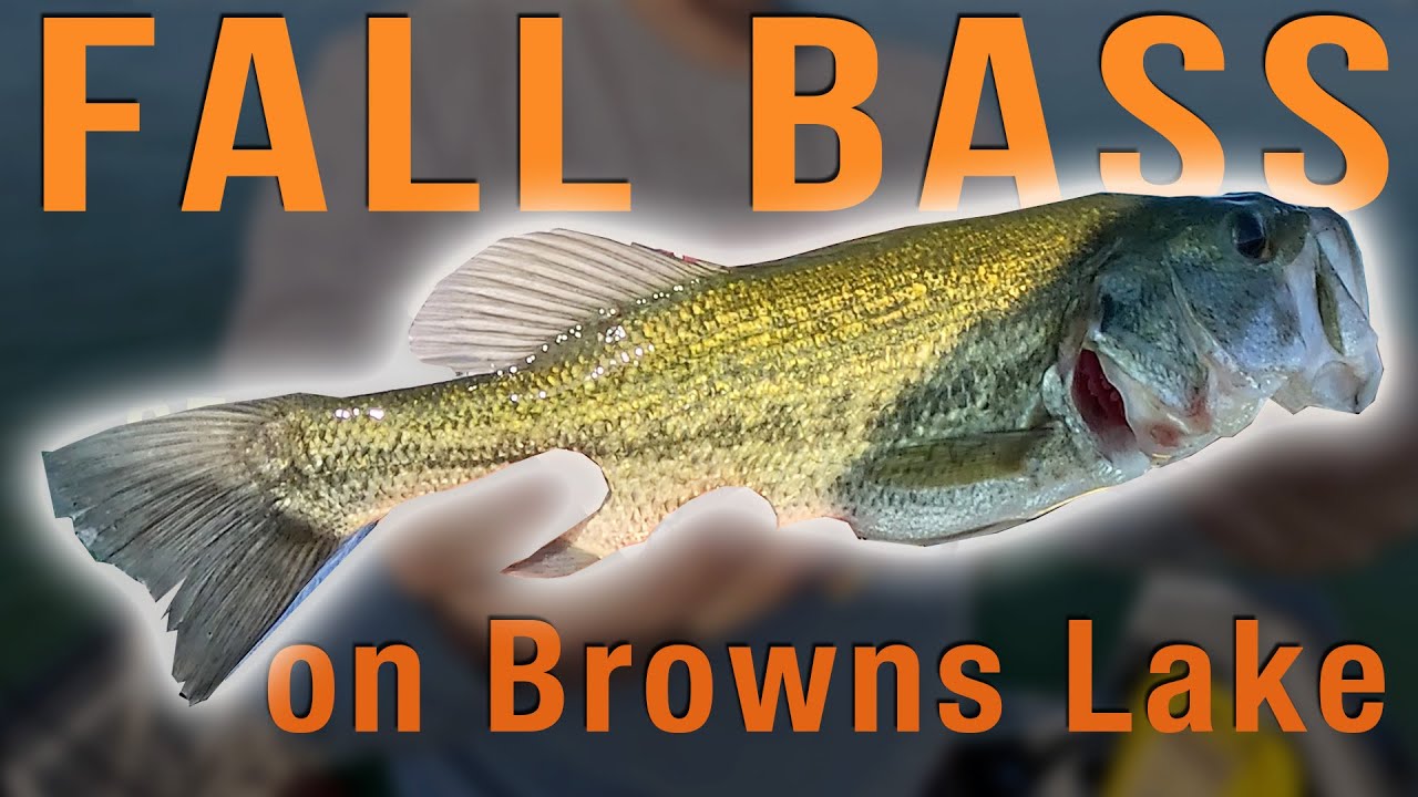 Catching Bass and Pike on a perfect Fall Day on Browns Lake!