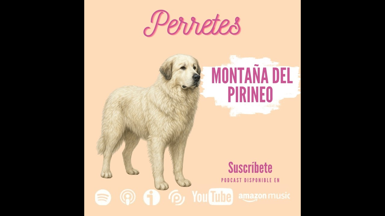 Ep97: Perro de montaña del Pirineo