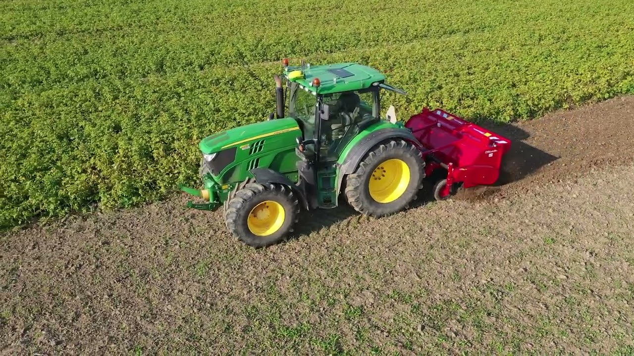 Zeebies mechanisch bestrijden