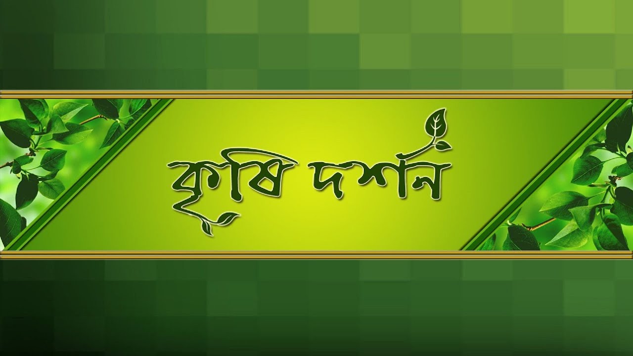 KRISHI DARSHAN : IMPROVE CULTIVATION TECHNIQUES OF GROUND NUT .