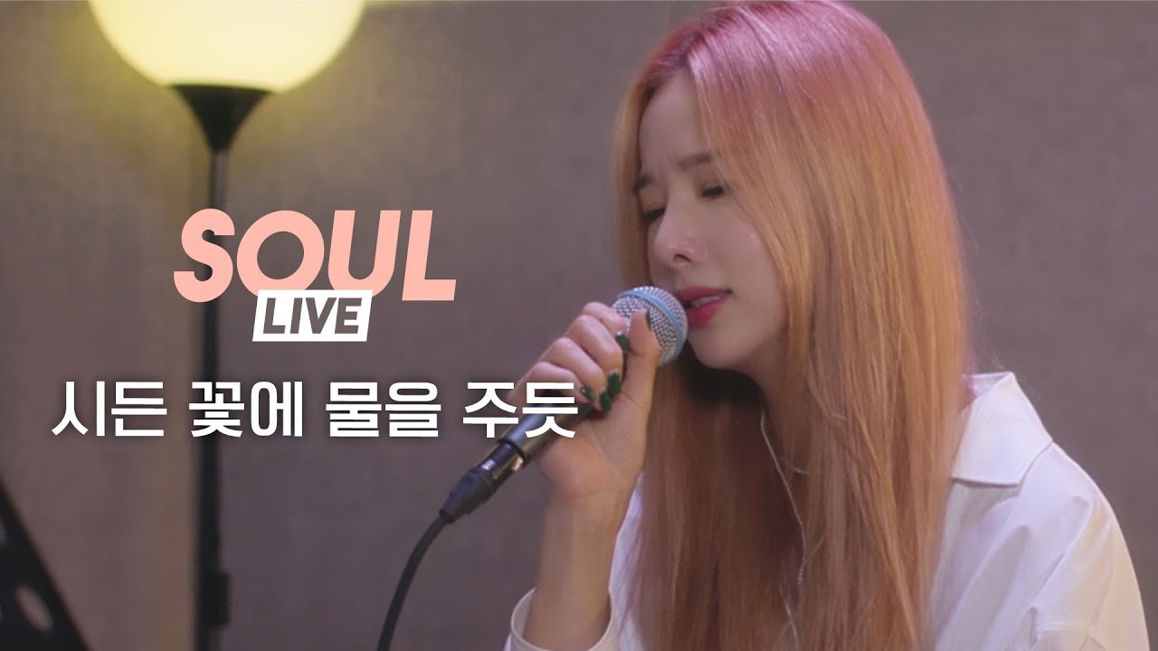 [소울라이브] Cover by Soul_G(솔지) | 박혜원(HYNN) - 시든 꽃에 물을 주듯 (The Lonely Bloom Stands Alone) |