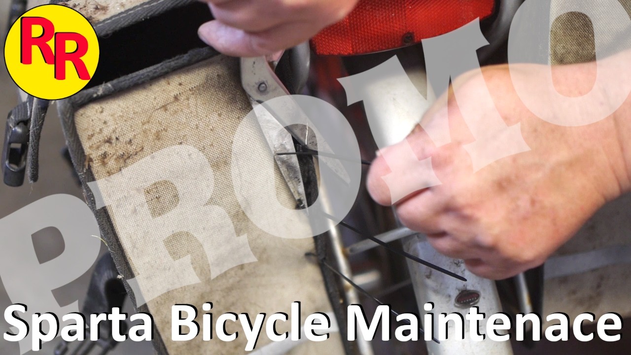 Some maintenance on my Sparta Railstar bicycle