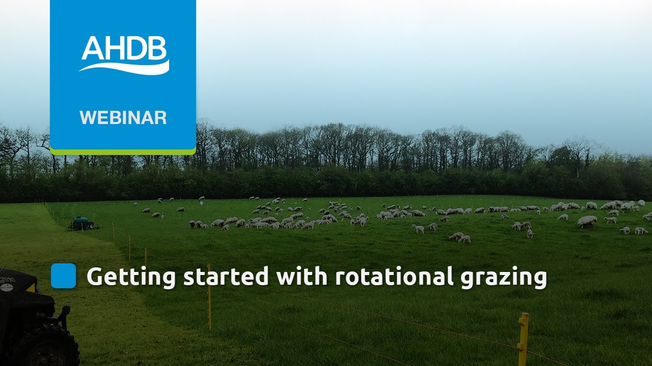 GrassCheckGB: Getting started with rotational grazing