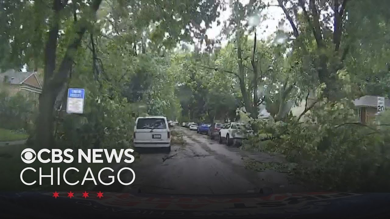 South suburbs littered with damage after Monday severe storms