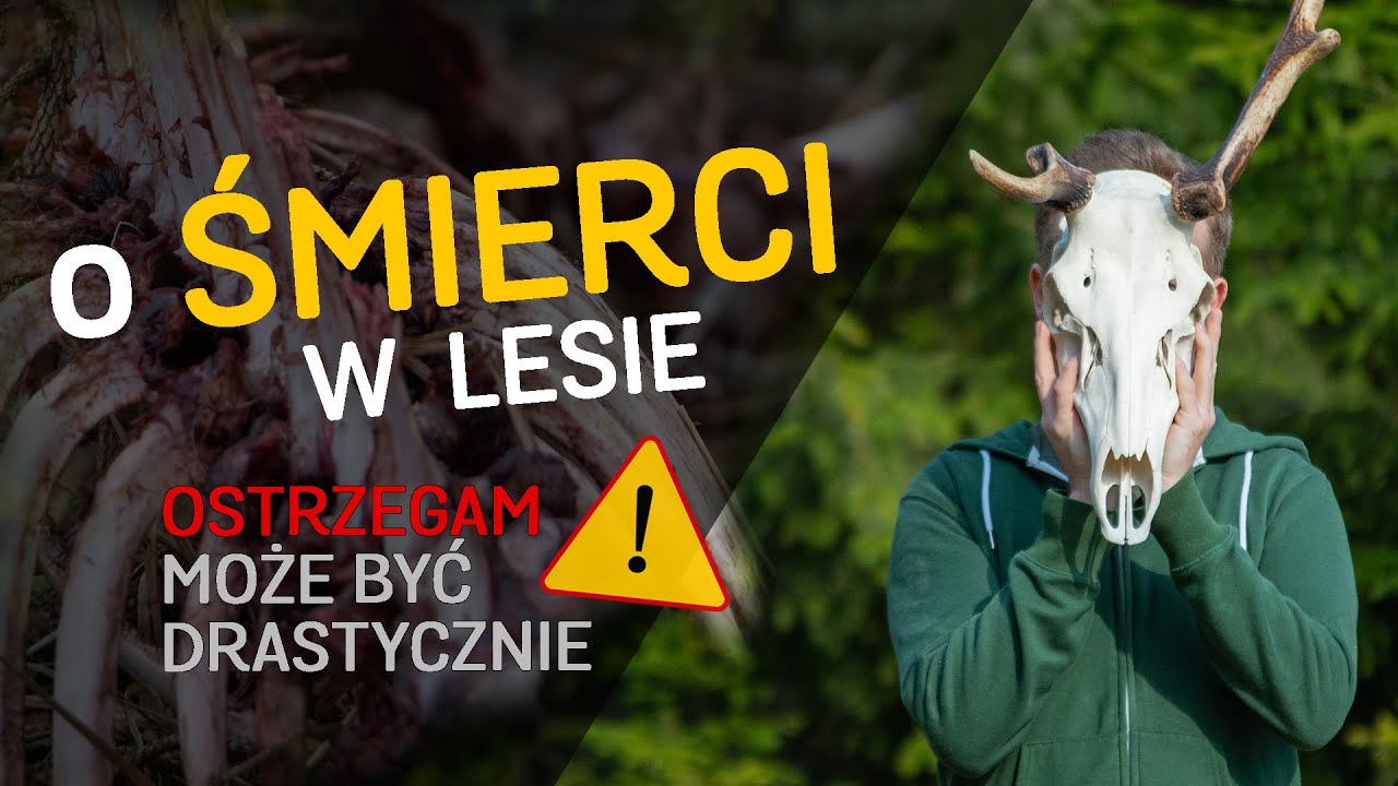 Śmierć w lesie 🌲 Dlaczego jest ważna i... niewidzialna? - o Lesie #42