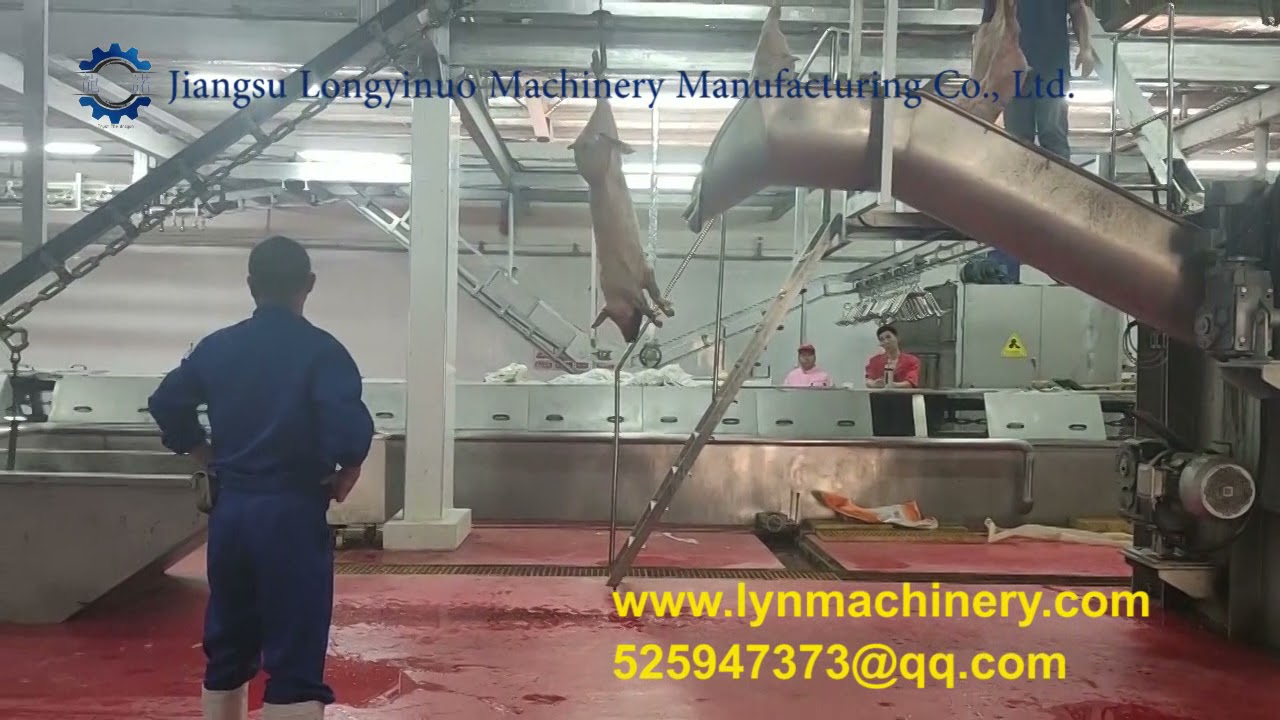 Modern technology pig hoist