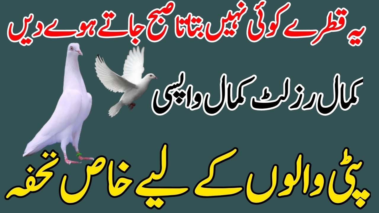 YE QATRY KOI NAHI BTATA SUBA JATY HOYE DEN 
