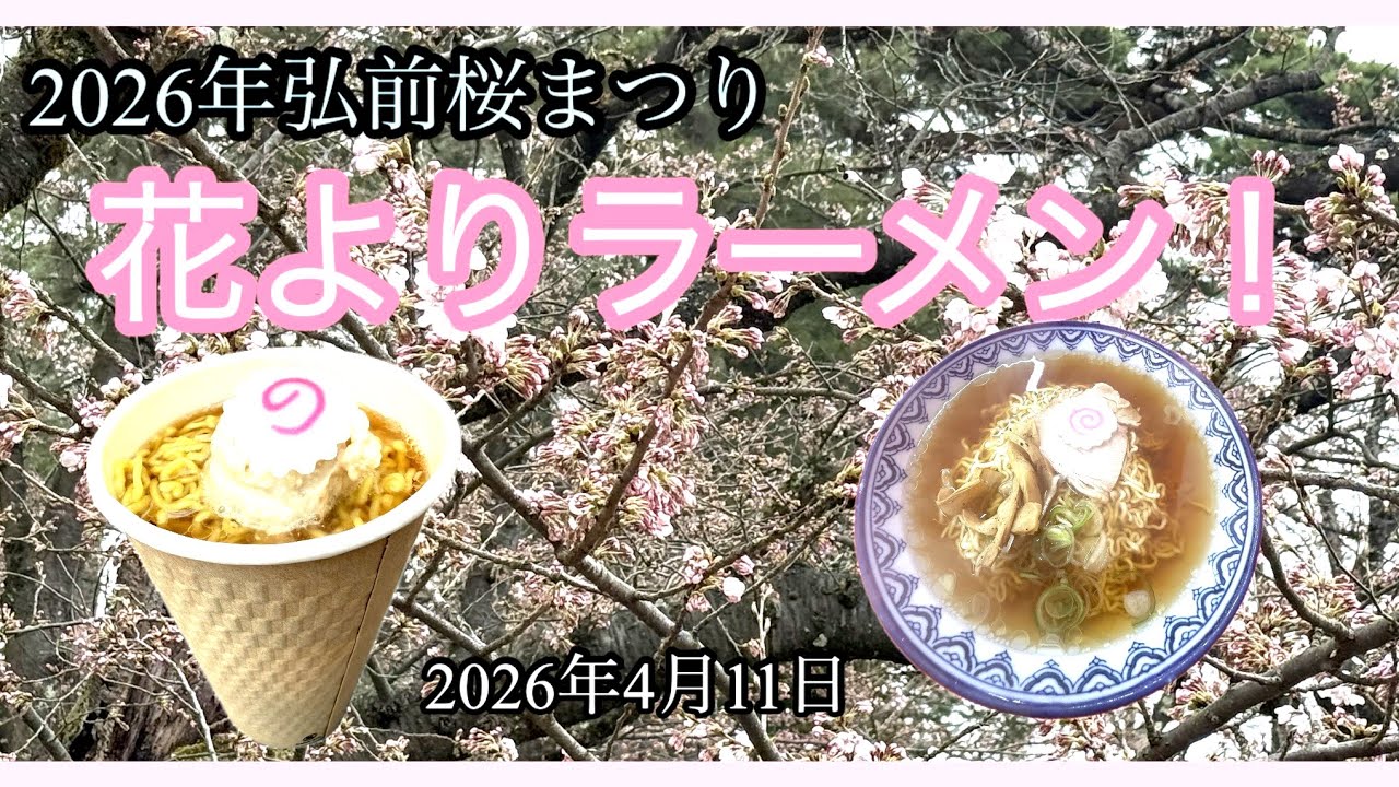 2026年弘前桜まつり｜正直&hellip;花よりラーメンだった🍜【雨の花見】