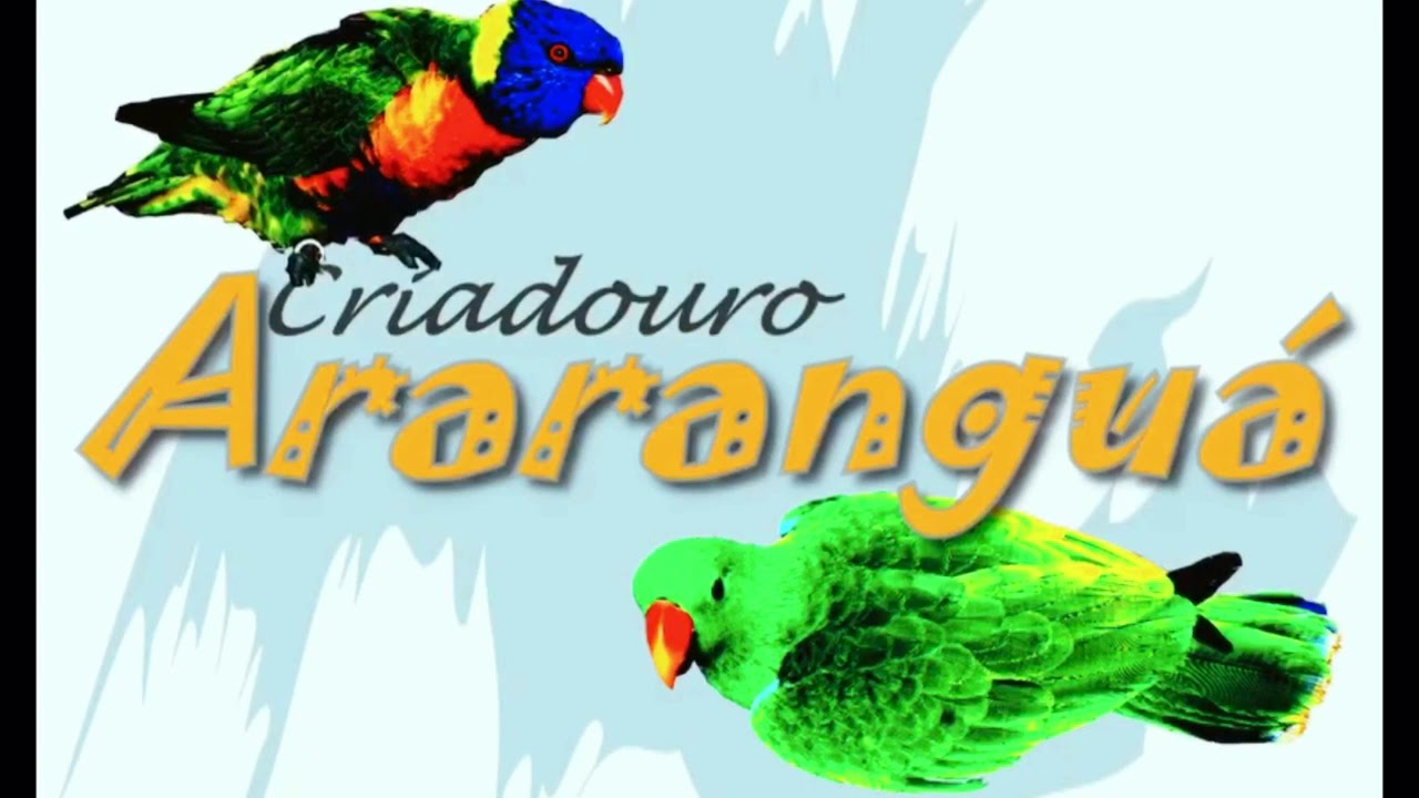 KING PARROT