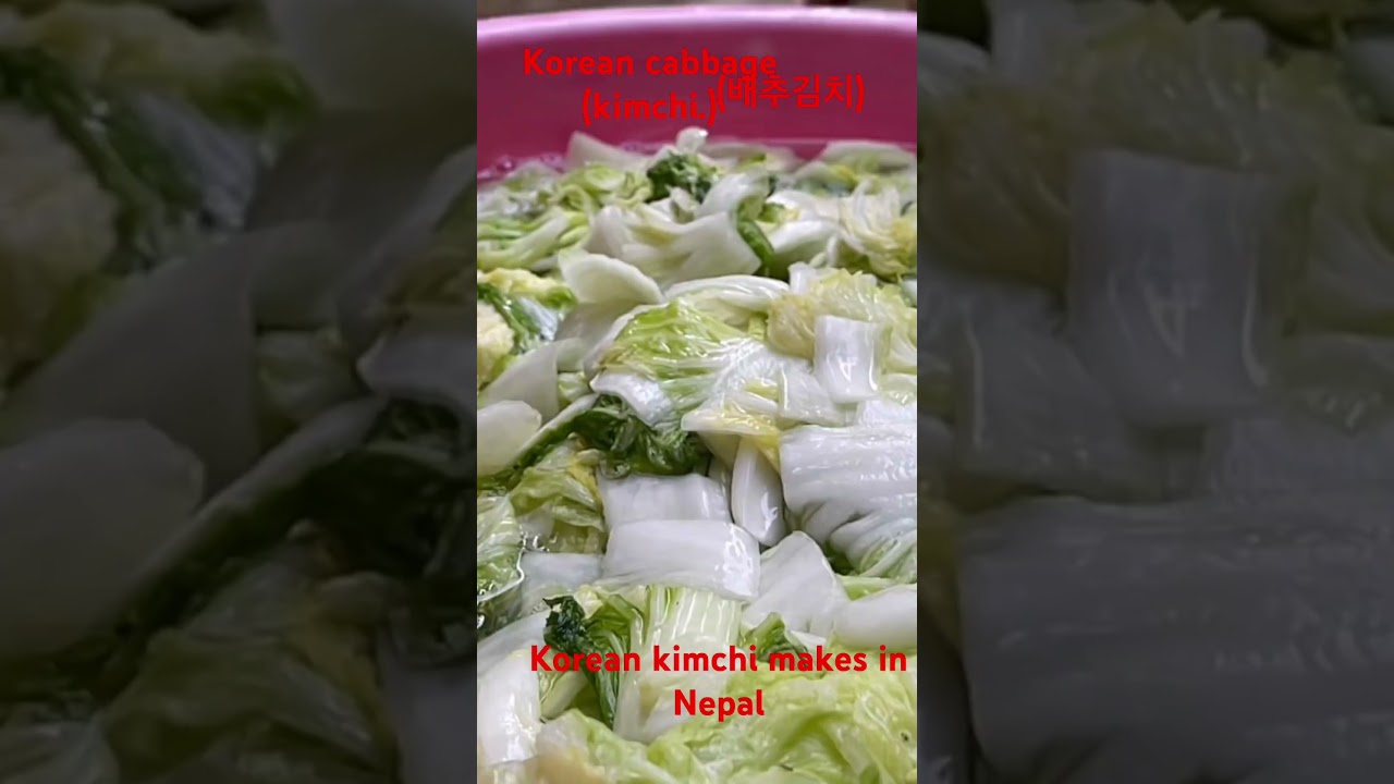 김치(How To Make Korean Cabbage kimchi Korean kimchi recipe in Nepal 
