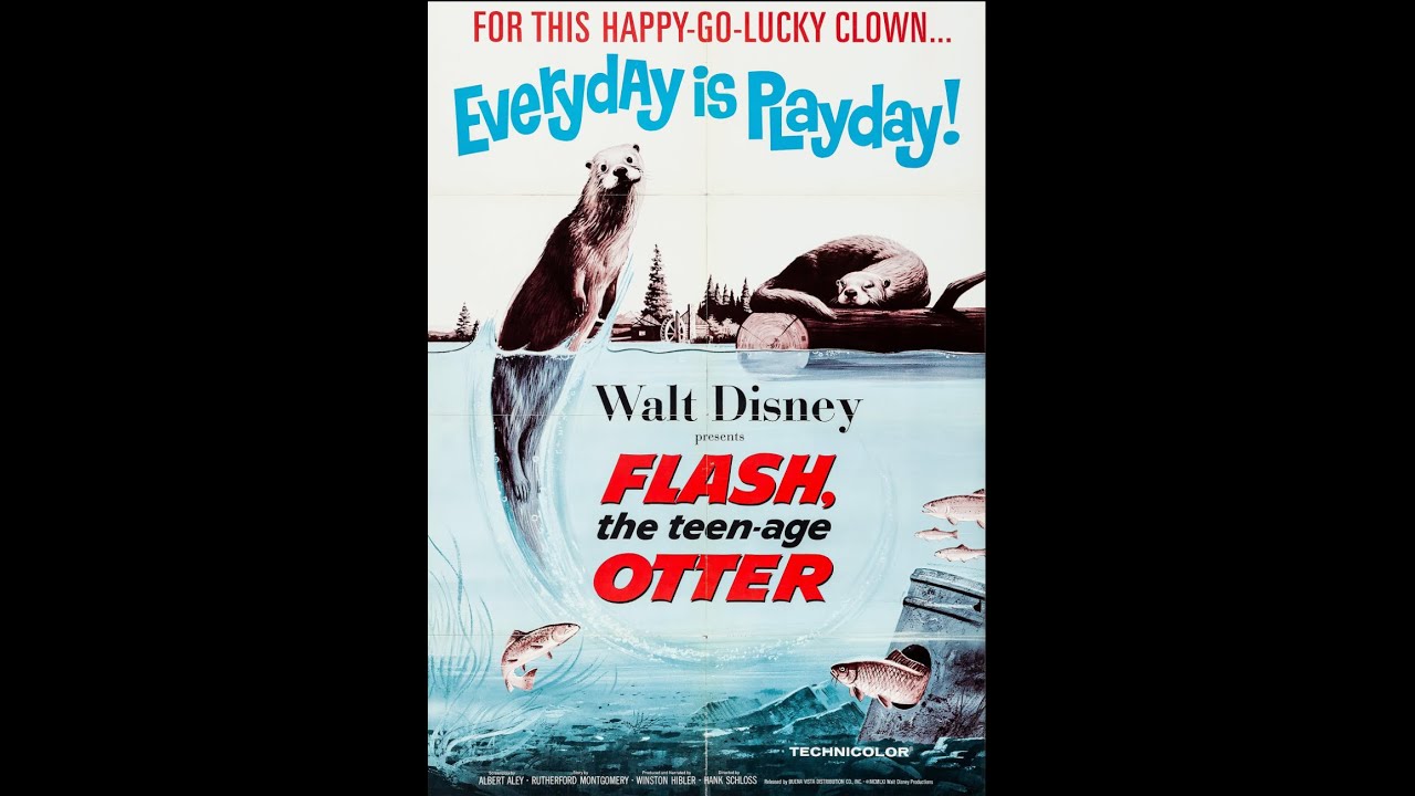 Flash, the Teen age Otter