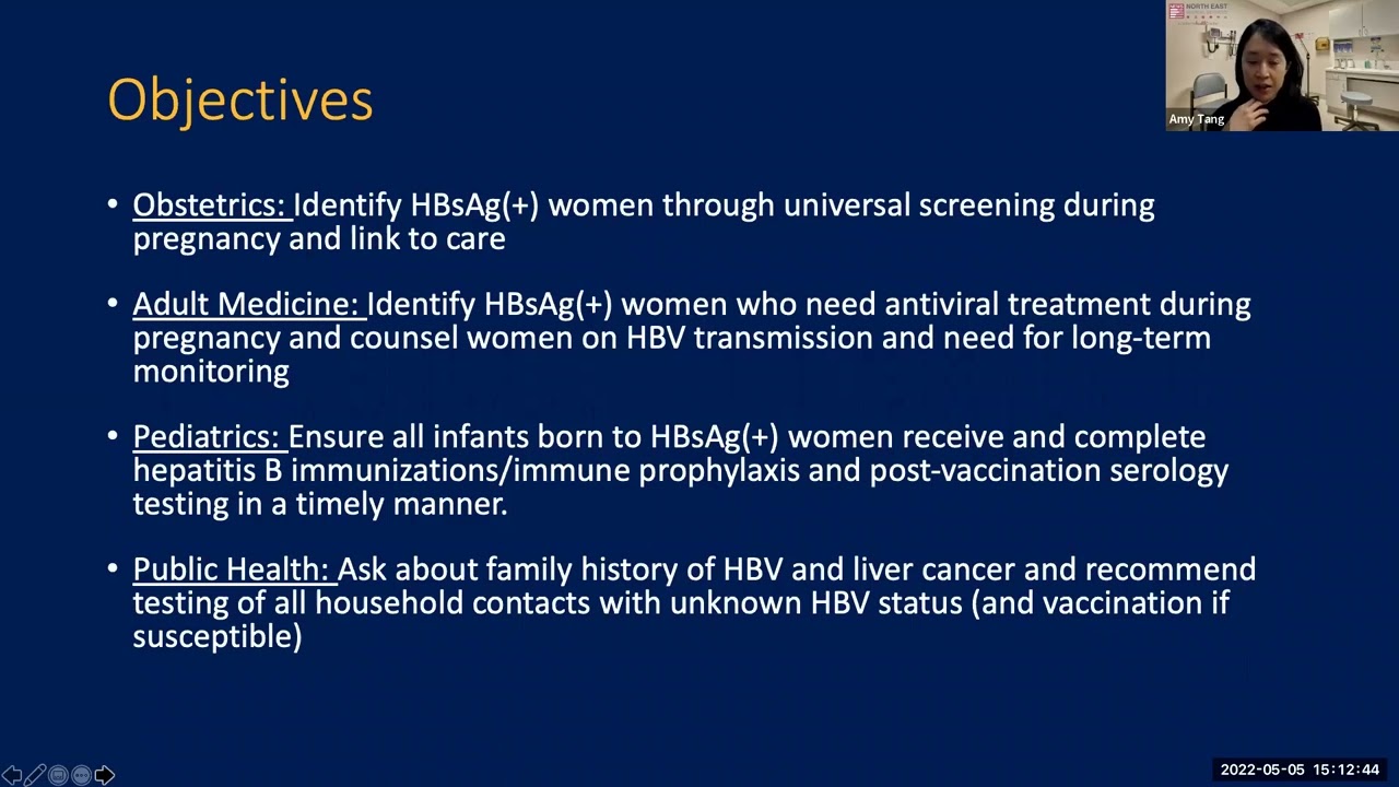Prevention of Perinatal Transmission and Management of Hepatitis B in Pregnancy and Post Partum