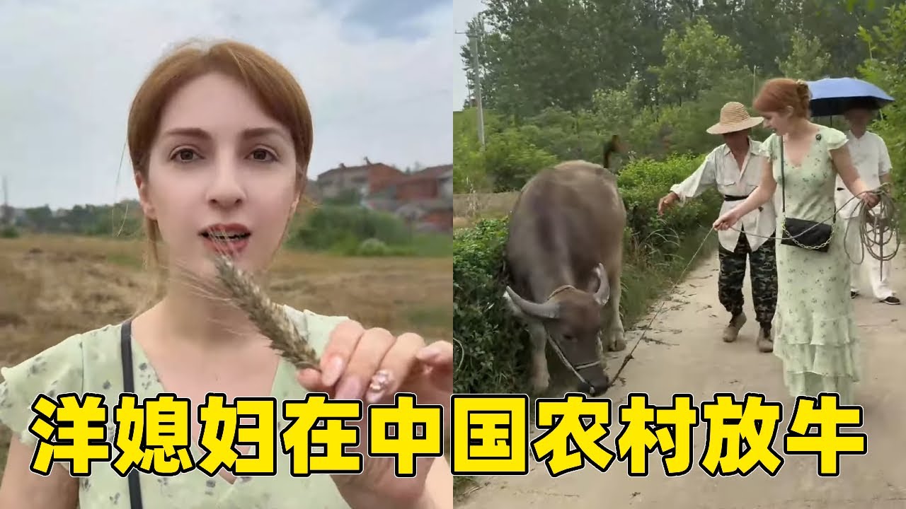放牛的老外😂洋媳妇直呼：我老家没有这么先进【中格一家人】 #老外在中国 #农村生活