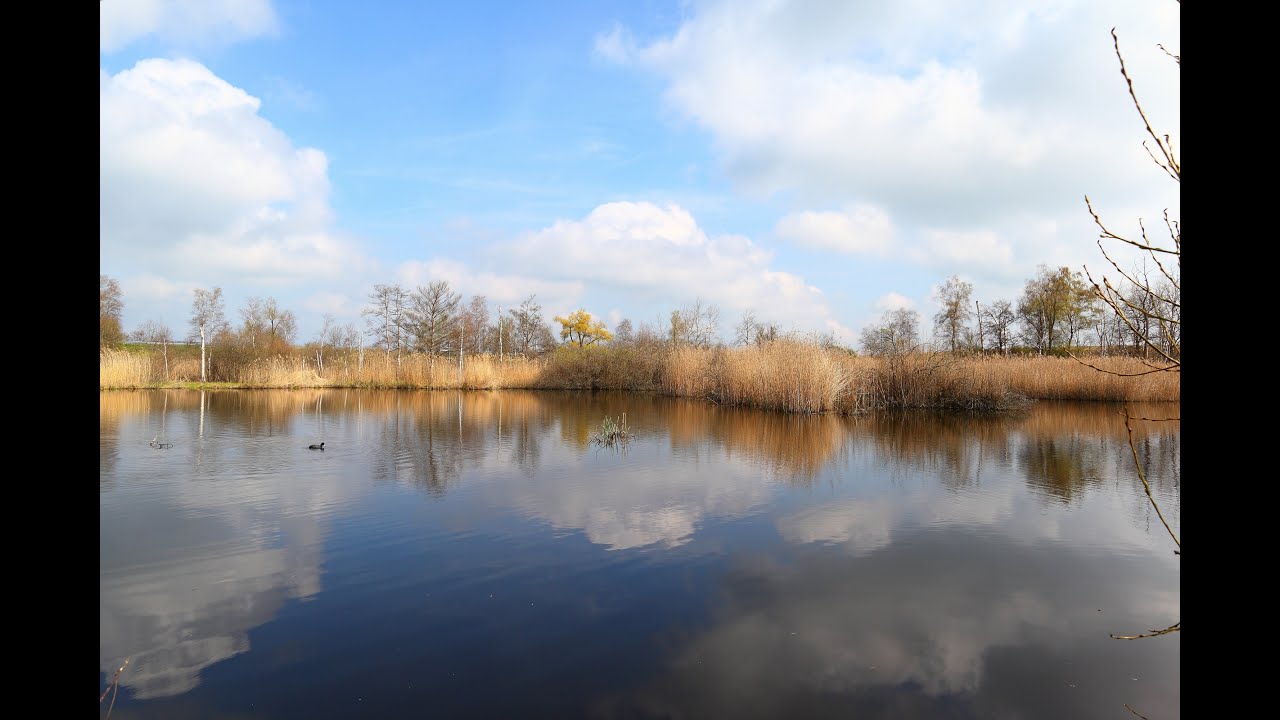 Marais d'Arleux