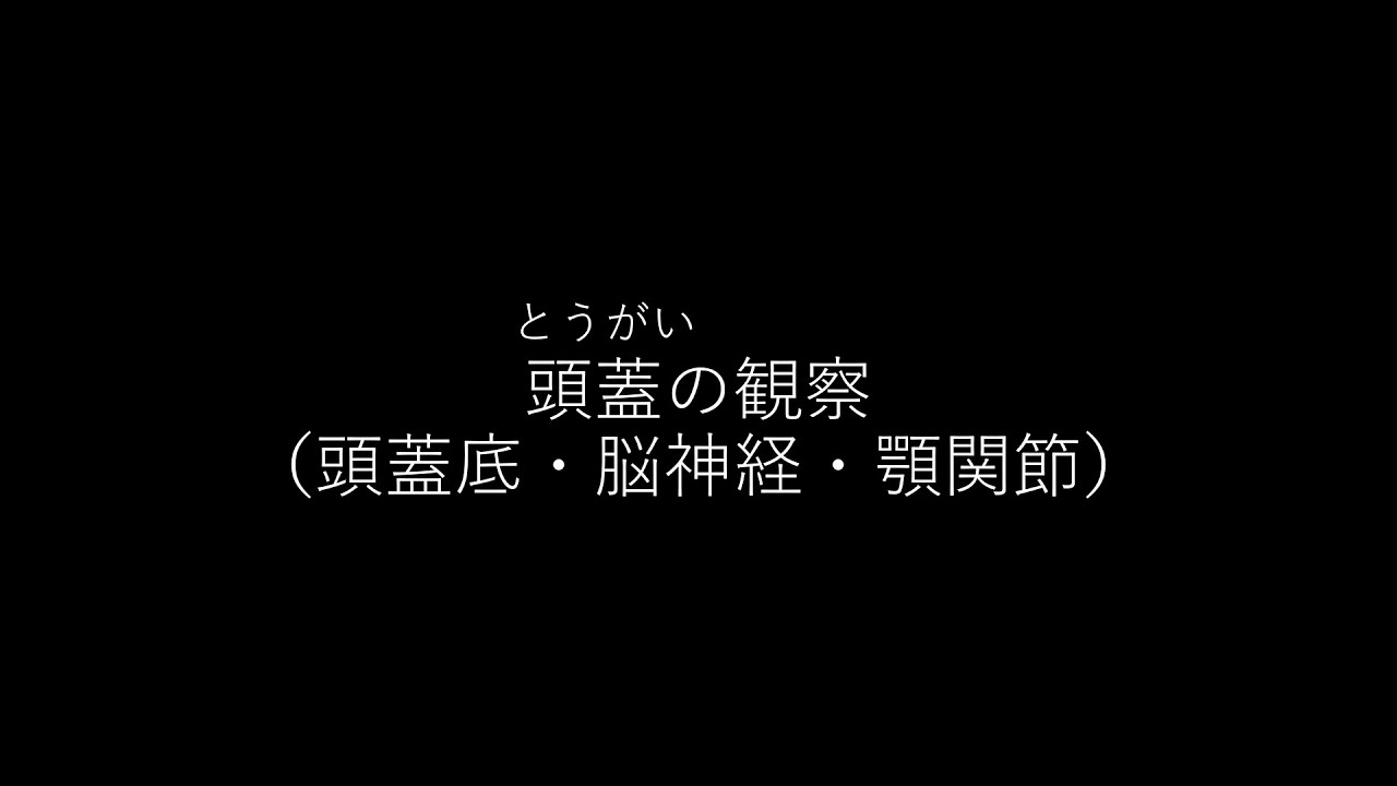 頭蓋の観察