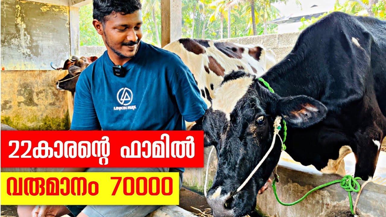 22കാരൻ ചുറ്റികക്ക് തല തല്ലിപൊളിച്ചപ്പോൾ, മറ്റൊരു 22കാരൻ പശു വളർത്തി ലാഭം കൊയ്യുന്നു. | young farmer
