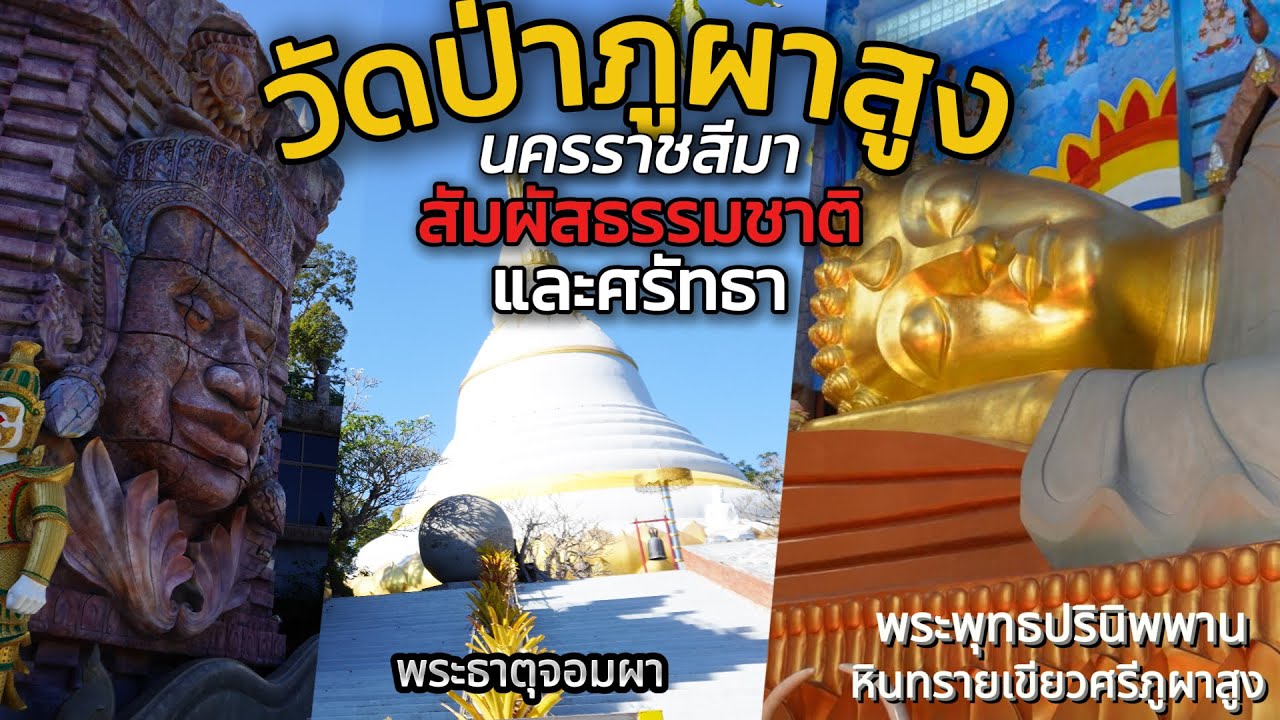 วัดป่าภูผาสูง อ.สูงเนิน  จ.นครราชสีมา