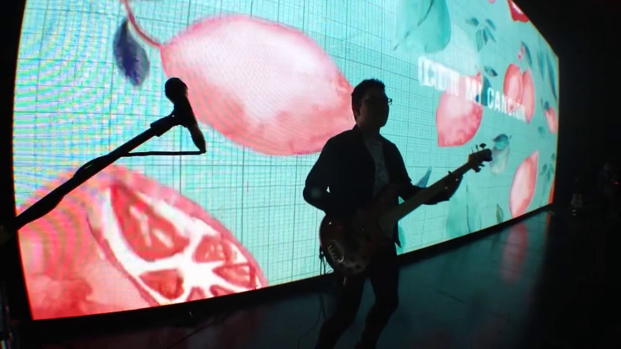 Concierto Perú 16 Nov 2019 (Segmento 1) - Live Bass Cam - Su Presencia