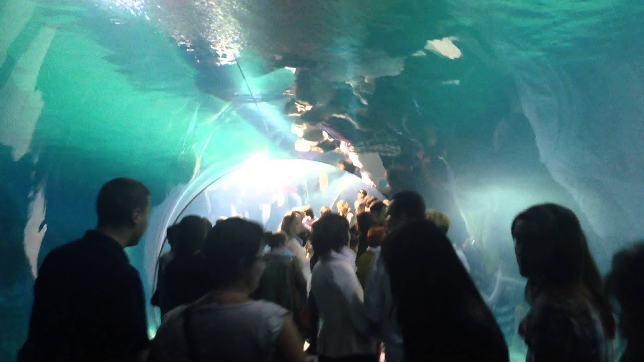 Afrykarium Wrocław