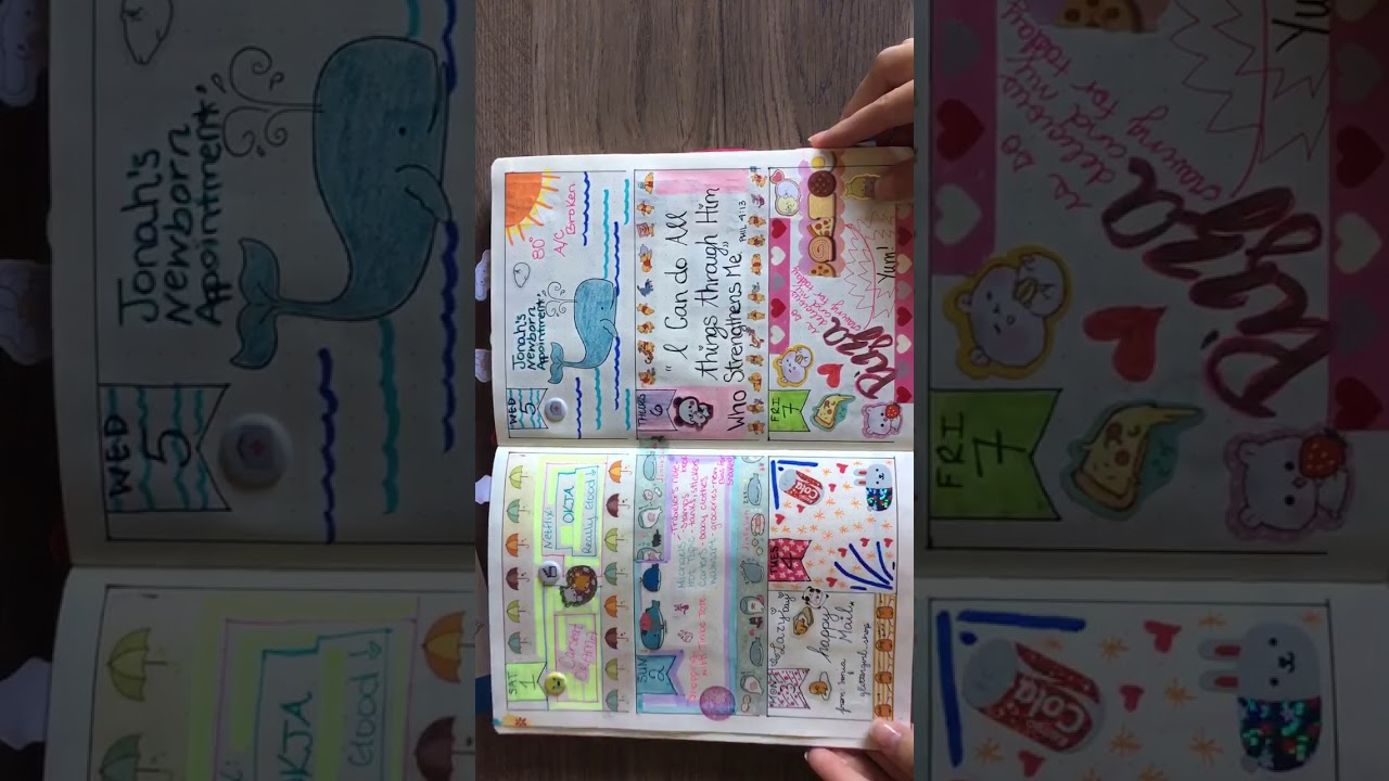 July 2017 Bujo (sticker diary) flip through