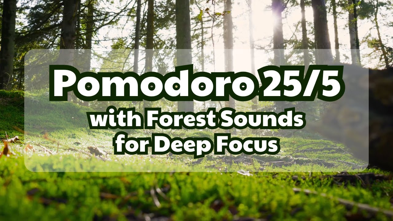 Escape to the Forest: 1 Hour of Deep Productivity 🍃 Pomodoro 25/5