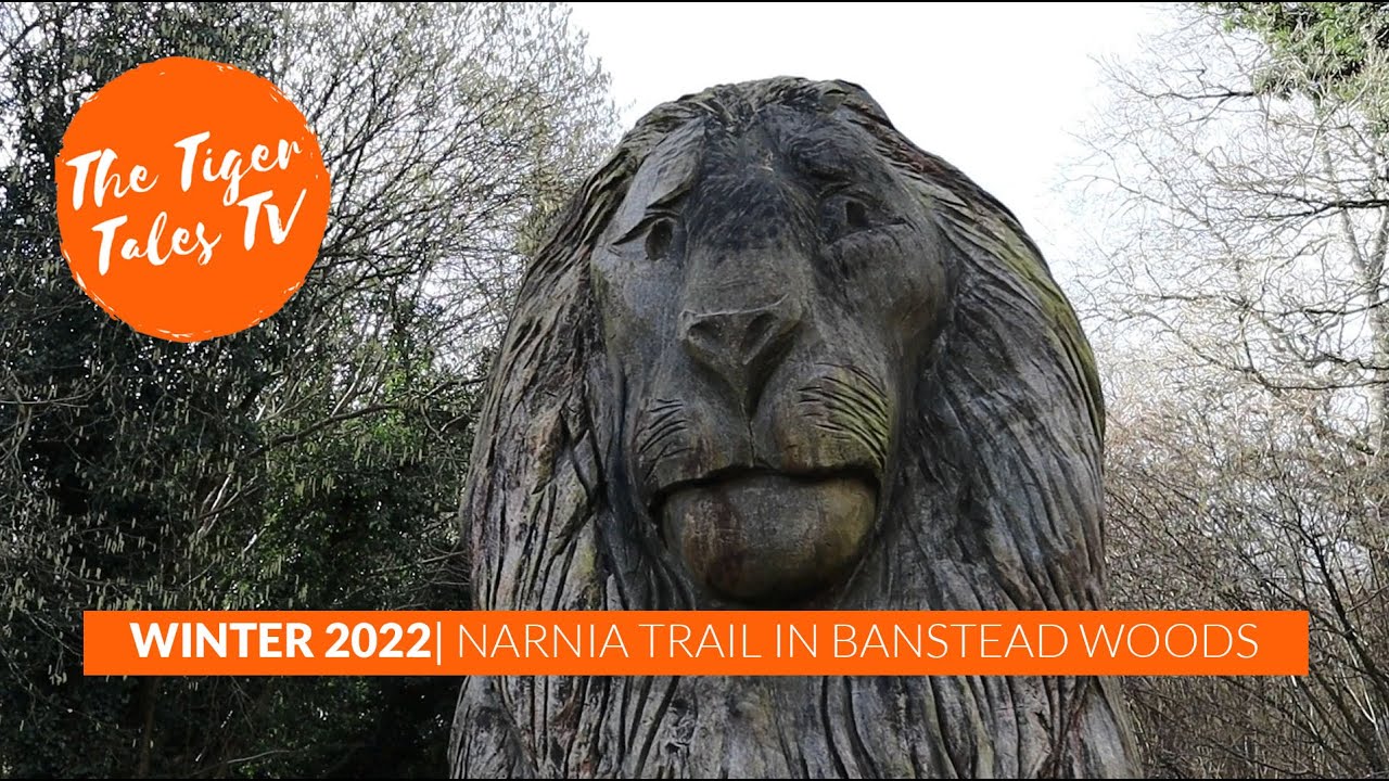 Narnia Trail | Banstead Woods