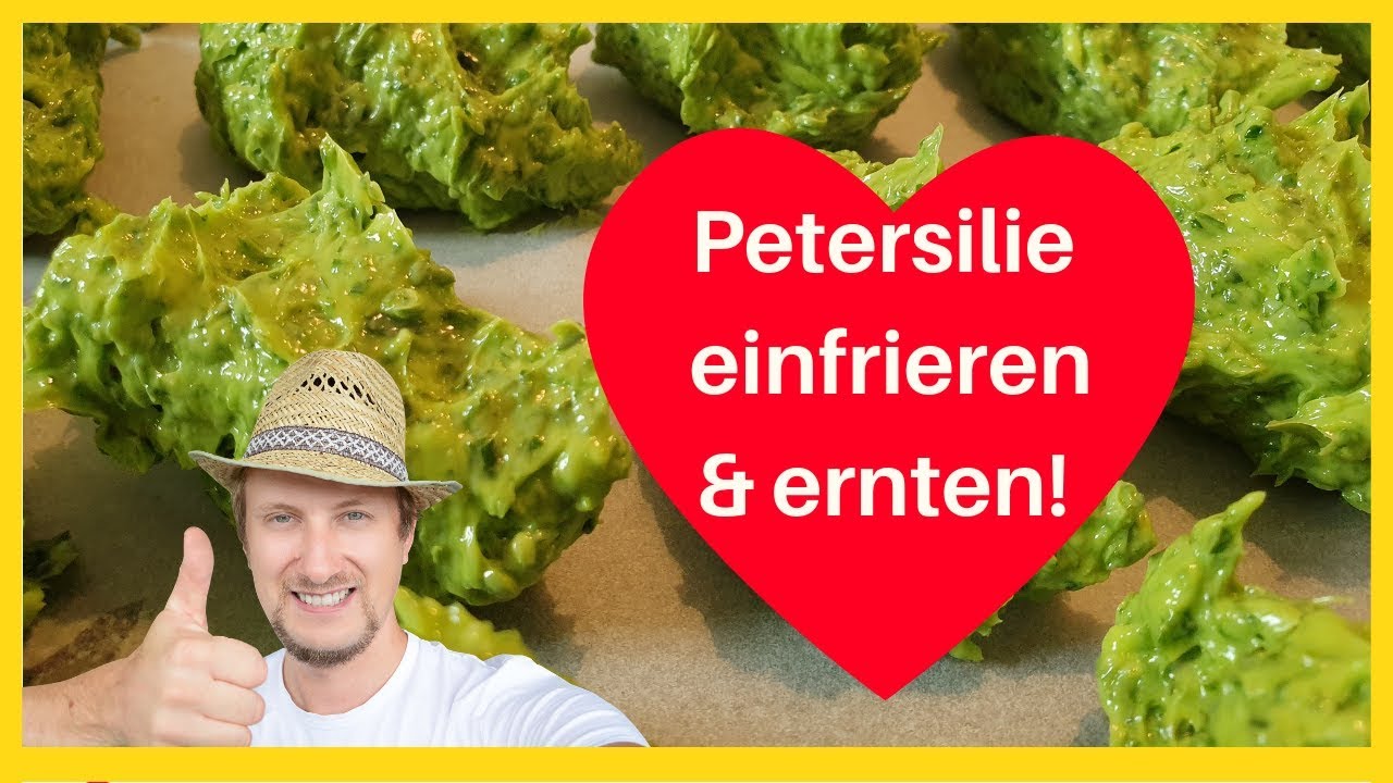 Petersilie einfrieren nach der Ernte 🔴 Die beste Methode!