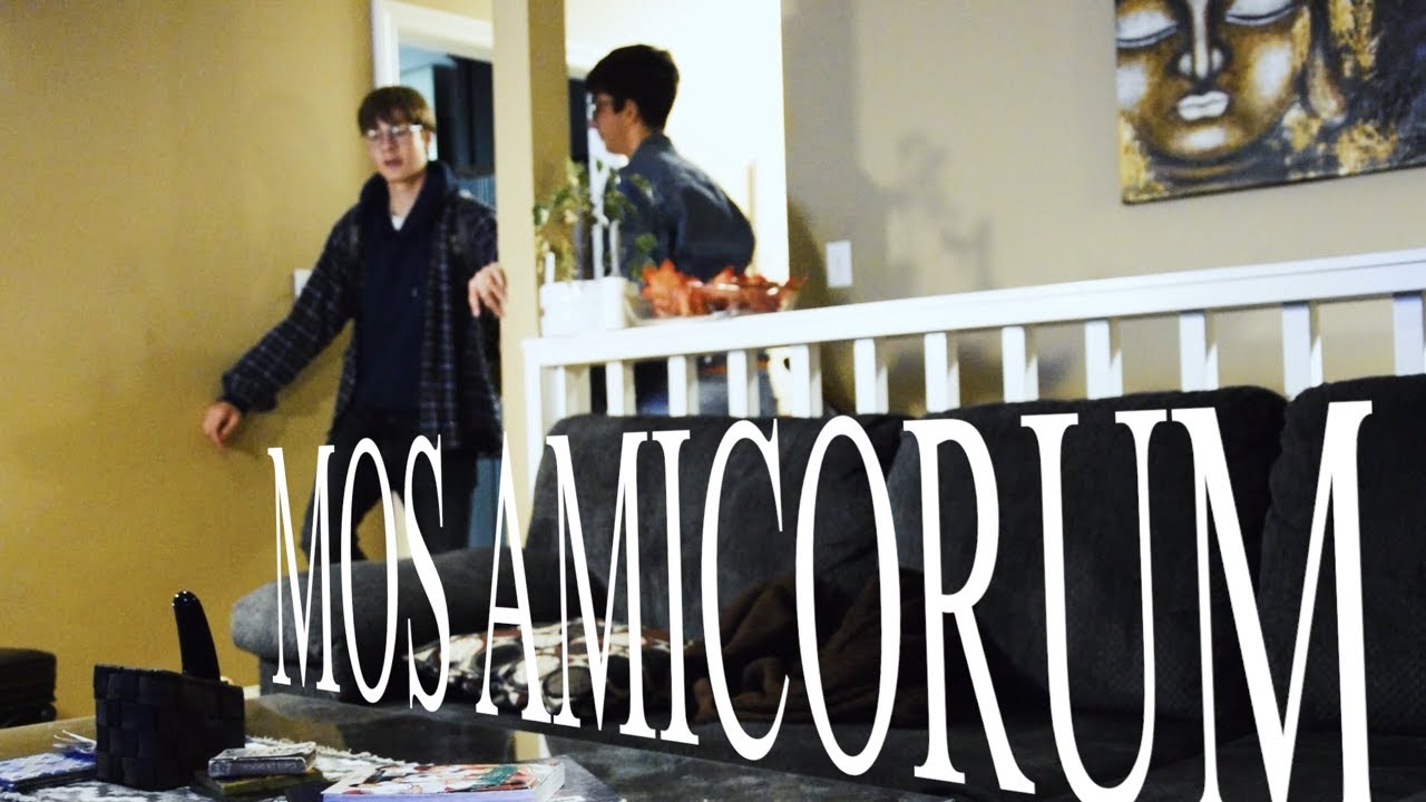 Mos Amicorum