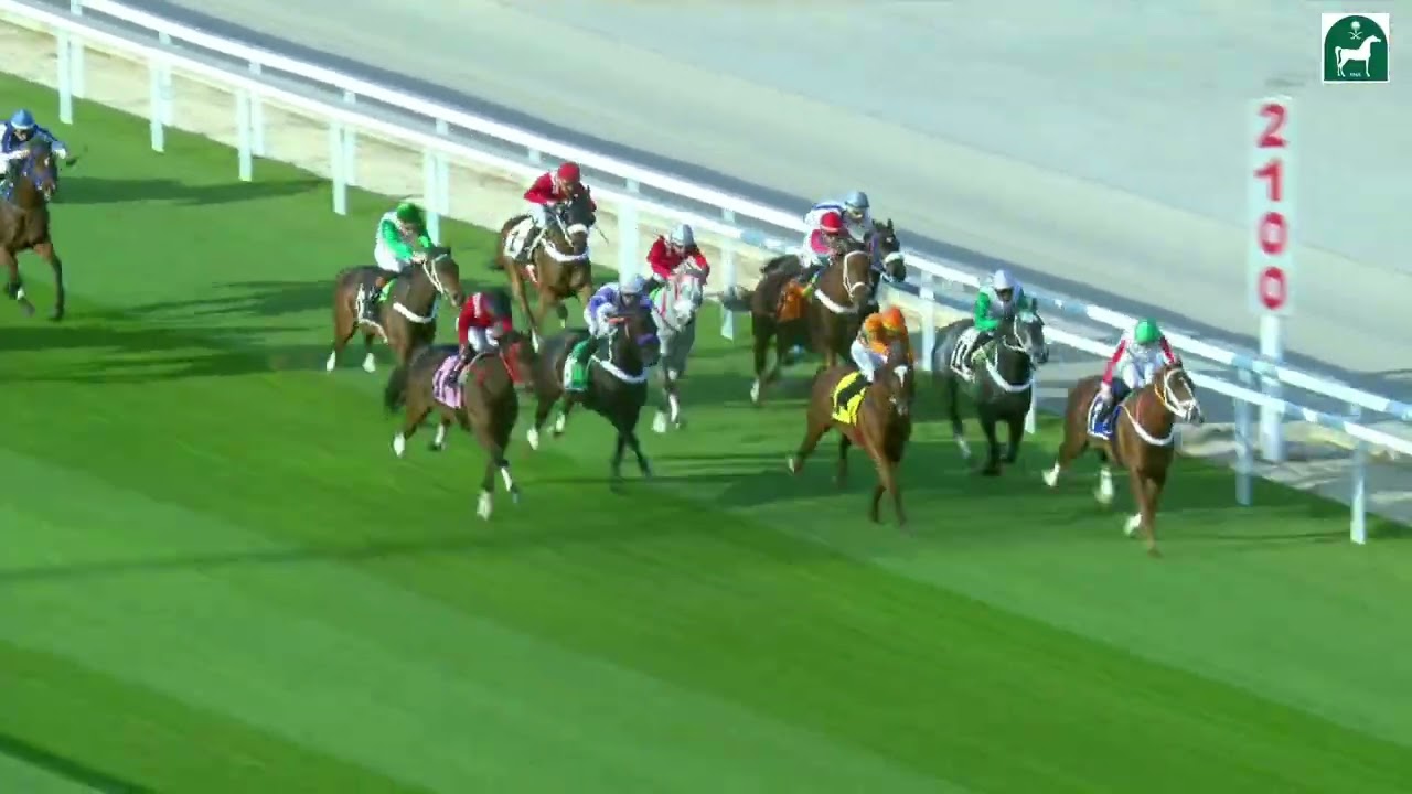 الشوط الأول للحفل 61 بموسم سباقات الرياض