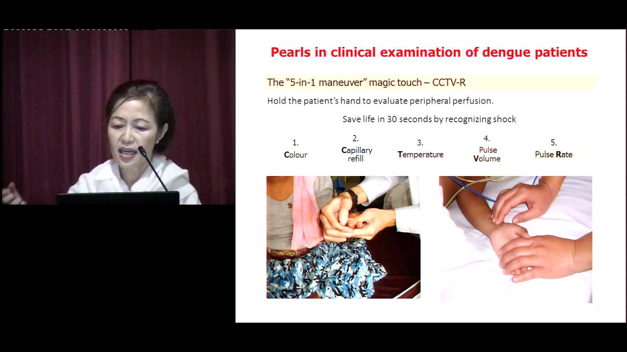 Clinical Course and Principles of Management of Dengue - Prof Lucy Lum