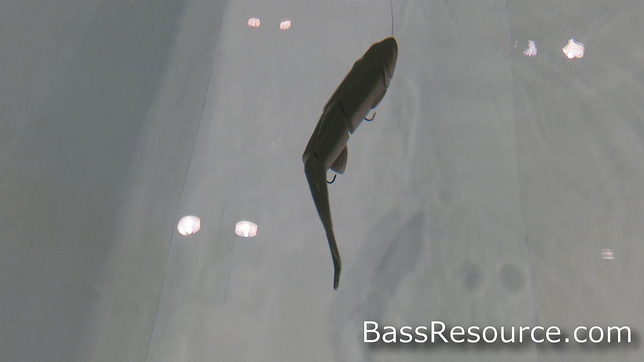Savage Gear Line Thru Trout SwimBait | Bass Fishing