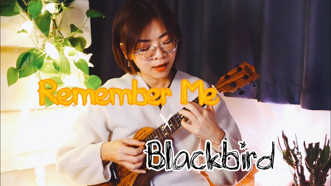 Remember Me (Coco) cover
