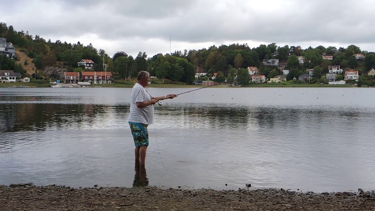 Laxberndt provar CND 14,2 #8-9-10 Steelhead med Rio Scandi Body Long #9