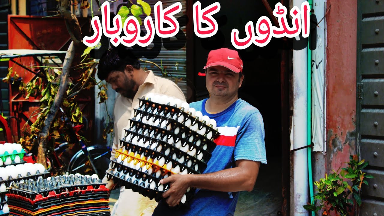 انڈے کا بزنس شروع کریں اور روزانہ ہزاروں کمائیں | مکمل ڈیٹیل|EGGS business 
