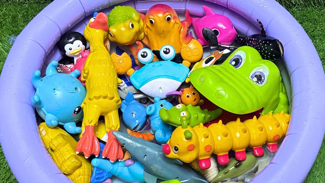 Ocean Animals Play & Learn | Sea Animals Adventure Learning for Preschoolers!