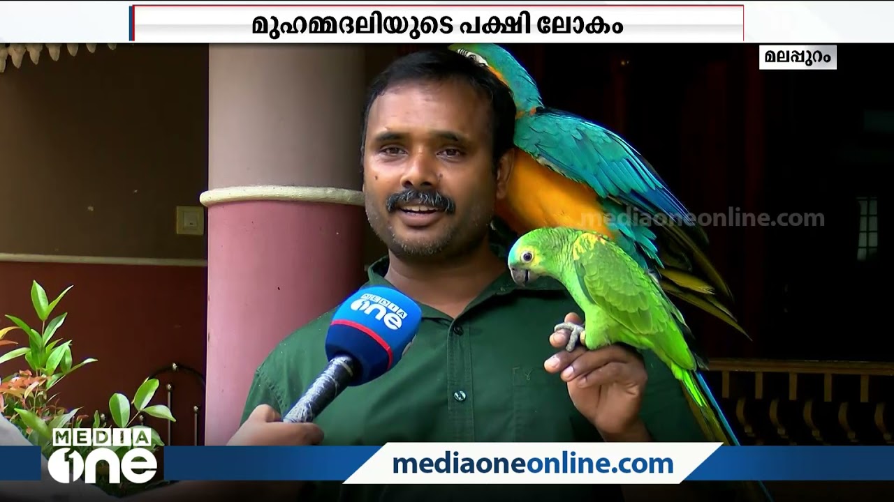 പേര് വിളിച്ചാല്‍ വിളി കേള്‍ക്കുന്ന 'ലക്കി': ആരെയും അതിശയിപ്പിക്കും മുഹമ്മദലിയുടെ ഈ പക്ഷി വീട്...
